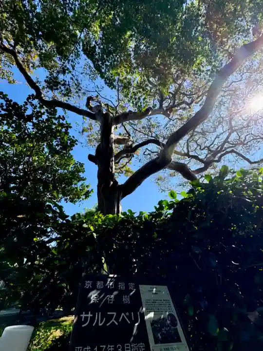 清凉院(京都府)