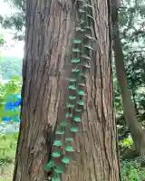 飯笠山神社の自然