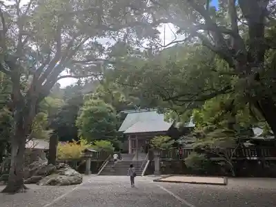 安房神社(千葉県)