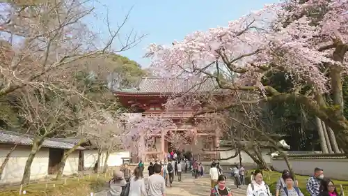 醍醐寺(京都府)