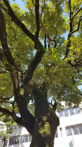 橿森神社の自然