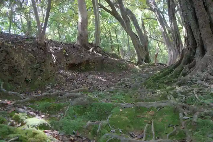 補陀洛山寺の自然