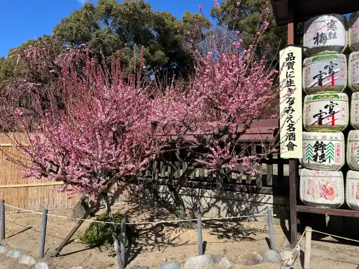 結城神社の{uncategorized: "未分類", other: "その他", undefined: "問題あり", building: "その他建物", grave: "お墓", sacred_gate: "鳥居", guardian: "狛犬", statue: "像", buddha: "仏像", history: "歴史", nature: "自然", garden: "庭園", animal: "動物", pagoda: "塔", temizu: "手水舎", mountain_gate: "山門・神門", sanctuary: "本殿・本堂", subordinate: "末社・摂社", art: "芸術", scenery: "景色", jizo: "地蔵", ema: "絵馬", goshuin: "御朱印", omikuji: "おみくじ", items: "授与品その他", amulet: "お守り", goshuincho: "御朱印帳", eats: "食事", festival: "お祭り", votive_dance: "神楽", shichigosan: "七五三参", wedding: "結婚式", experience: "体験その他", initially: "初詣", around: "周辺", anti_infection: "感染症対策"}
