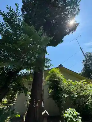 伊奈冨神社(三重県)