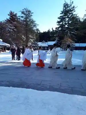 北海道神宮の初詣