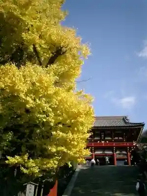 鶴岡八幡宮のその他建物