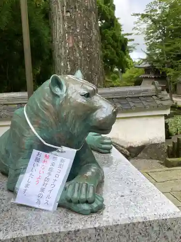 金剛證寺の狛犬