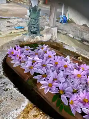 立志神社の手水舎