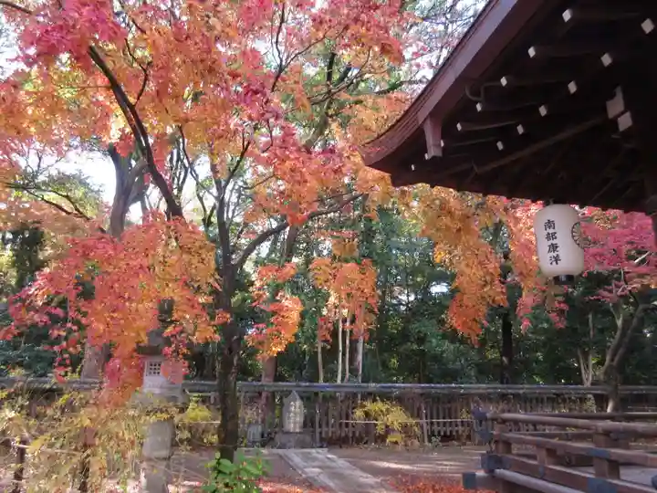 梨木神社の自然