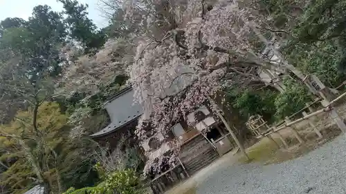 室生寺のその他建物