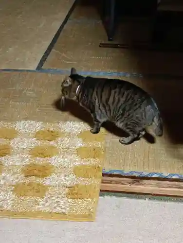 常光寺(長野県)