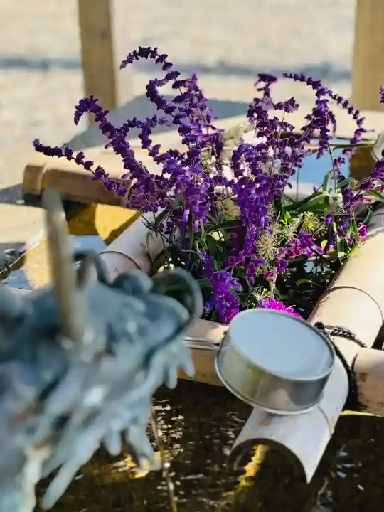 守りの神 藤基神社の手水舎