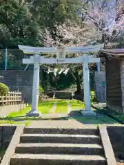 鉢崎神社の鳥居