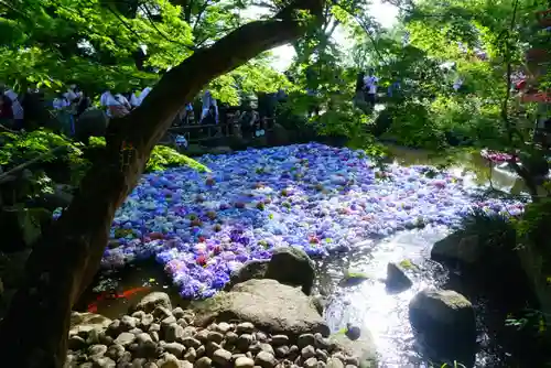楽法寺（雨引観音）(茨城県)