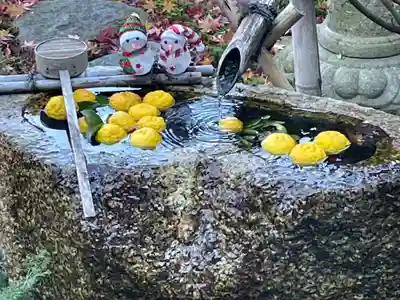 正寿院(京都府)