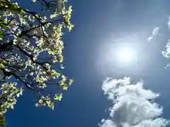 白鳥神社(長野県)