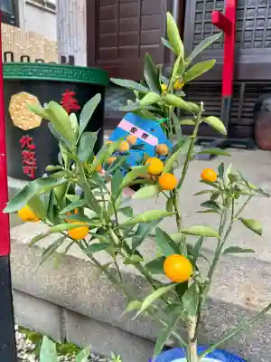 一心寺(東京都)