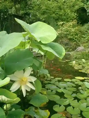 長谷寺の庭園