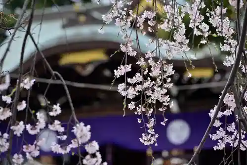 尾久八幡神社の自然