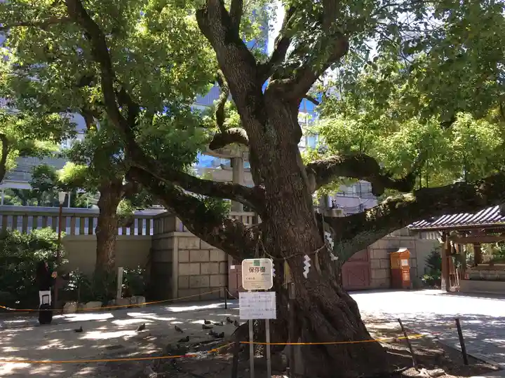 難波神社の自然