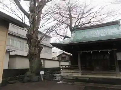 楊原神社(静岡県)
