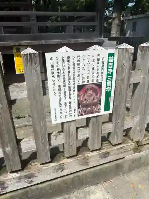 甚目寺(愛知県)