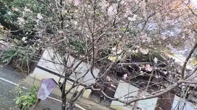 平野神社(京都府)