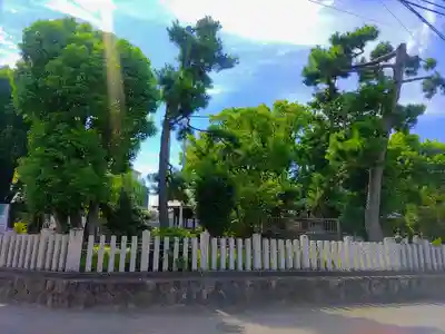 神明社(五之割神明社)の自然