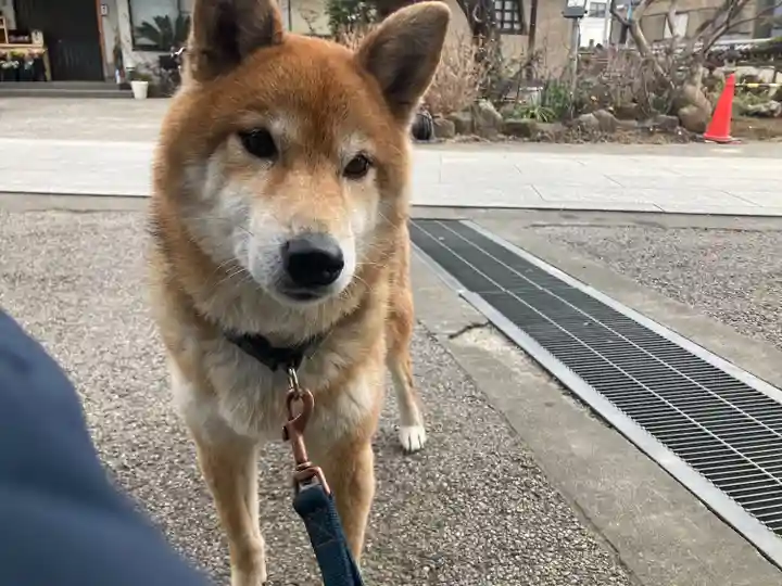 感通寺(東京都)
