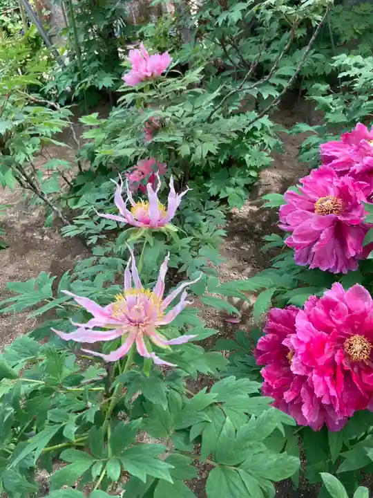 薬師院(兵庫県)