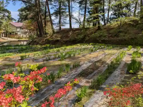 毛越寺(岩手県)
