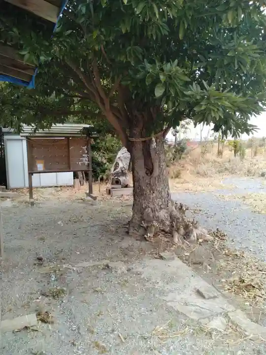 青巣稲荷神社(宮城県)