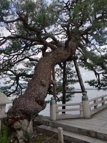 満月寺（浮御堂）の建物その他