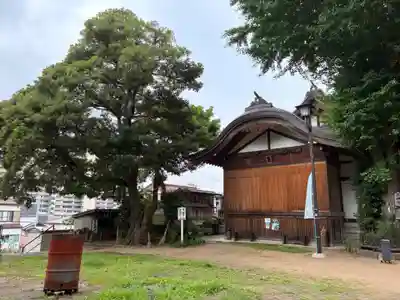 登渡神社(千葉県)