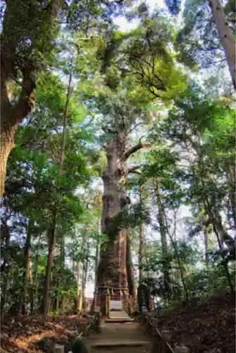 麻賀多神社の自然