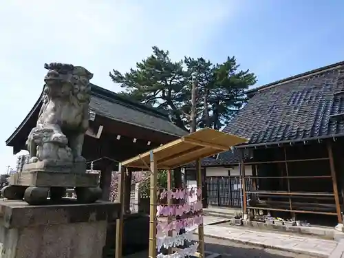 犀川神社の狛犬