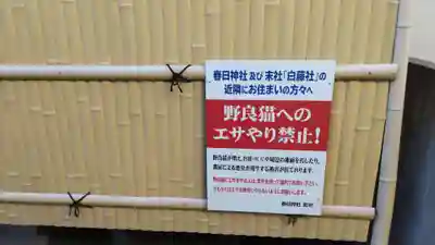 白藤大神（春日神社境外末社）のその他建物