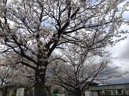 常国寺(新潟県)