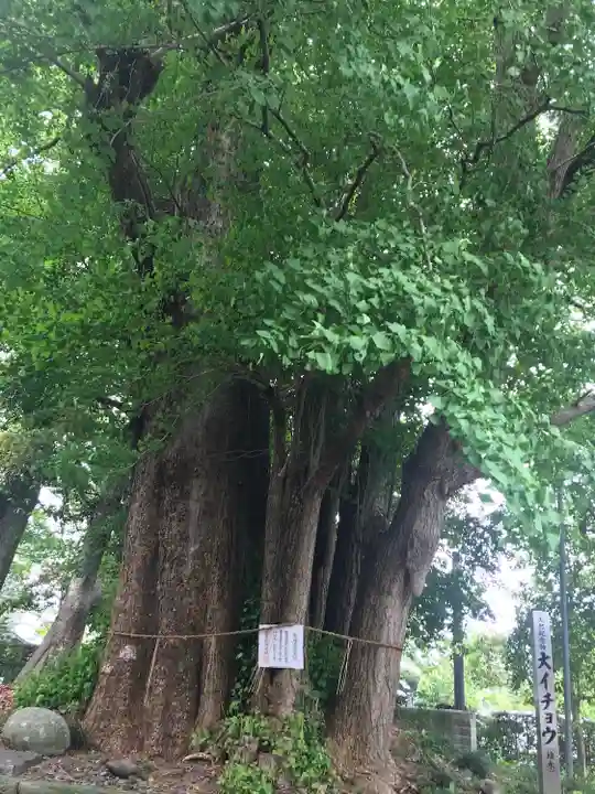 豊積神社(静岡県)