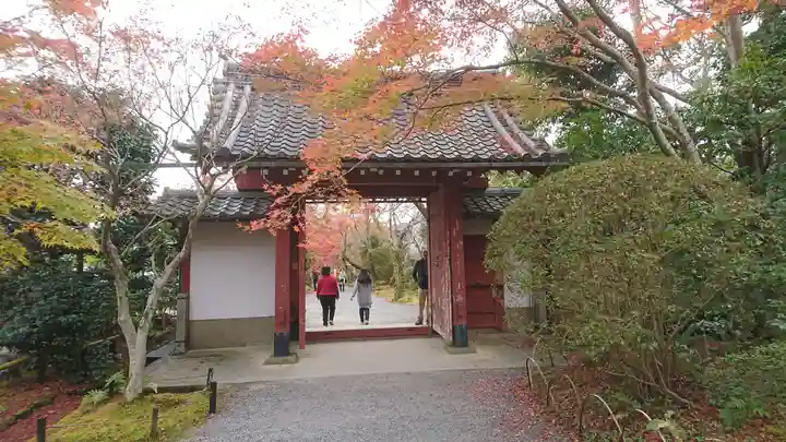 常照寺(京都府)