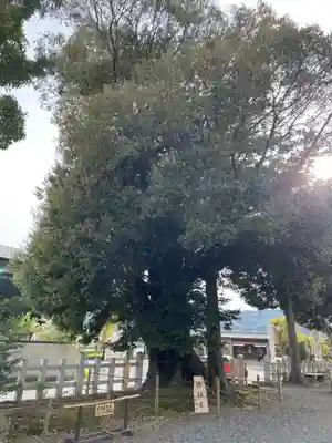 兒神社(京都府)