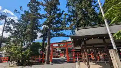 吉田神社(京都府)