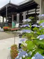 常圓寺の{uncategorized: "未分類", other: "その他", undefined: "問題あり", building: "その他建物", grave: "お墓", sacred_gate: "鳥居", guardian: "狛犬", statue: "像", buddha: "仏像", history: "歴史", nature: "自然", garden: "庭園", animal: "動物", pagoda: "塔", temizu: "手水舎", mountain_gate: "山門・神門", sanctuary: "本殿・本堂", subordinate: "末社・摂社", art: "芸術", scenery: "景色", jizo: "地蔵", ema: "絵馬", goshuin: "御朱印", omikuji: "おみくじ", items: "授与品その他", amulet: "お守り", goshuincho: "御朱印帳", eats: "食事", festival: "お祭り", votive_dance: "神楽", shichigosan: "七五三参", wedding: "結婚式", experience: "体験その他", initially: "初詣", around: "周辺", anti_infection: "感染症対策"}