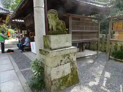 白雲神社の狛犬
