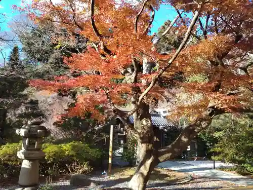 鎌倉宮の庭園