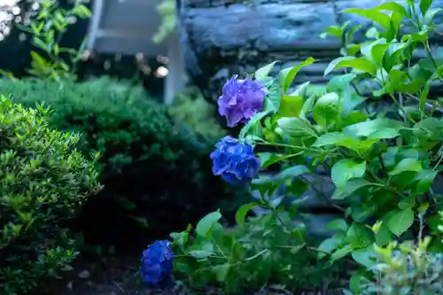 白山比咩神社(石川県)
