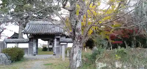 国分寺の山門