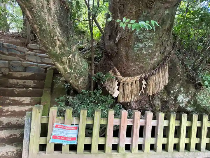 槵觸神社(宮崎県)