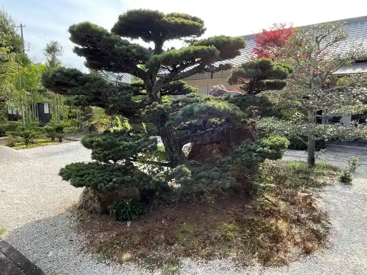 印空寺(京都府)