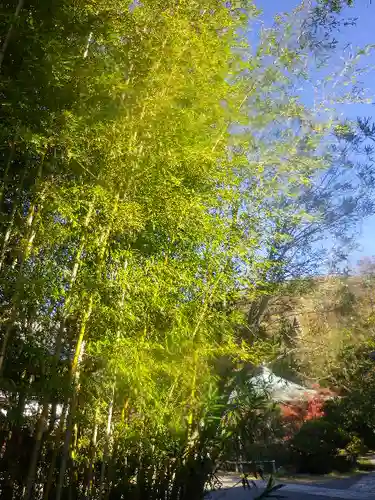 浄光明寺の自然